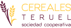 Formación - Cereales Teruel